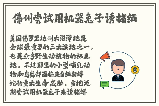 久久99久久99国产精品免视看动漫